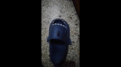 sharky chanclas